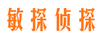 蒙山侦探公司